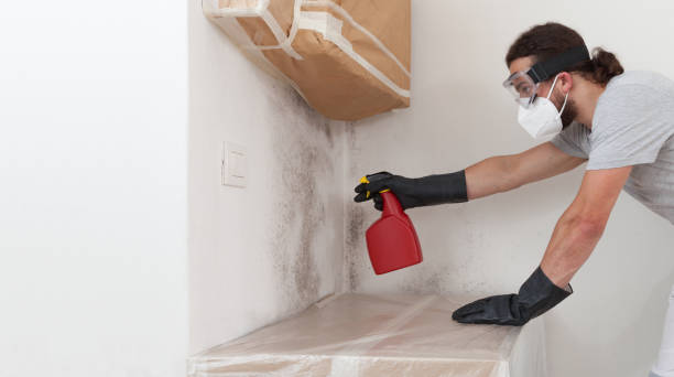 Professional Hvac And Air Duct Mold Remediation technician working in Thornton, PA